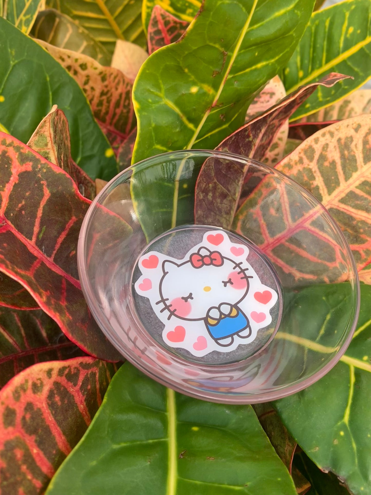 Sanrio Martini